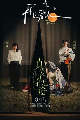 再见爱人 第四季海报